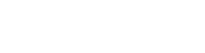 SECURITY MIND