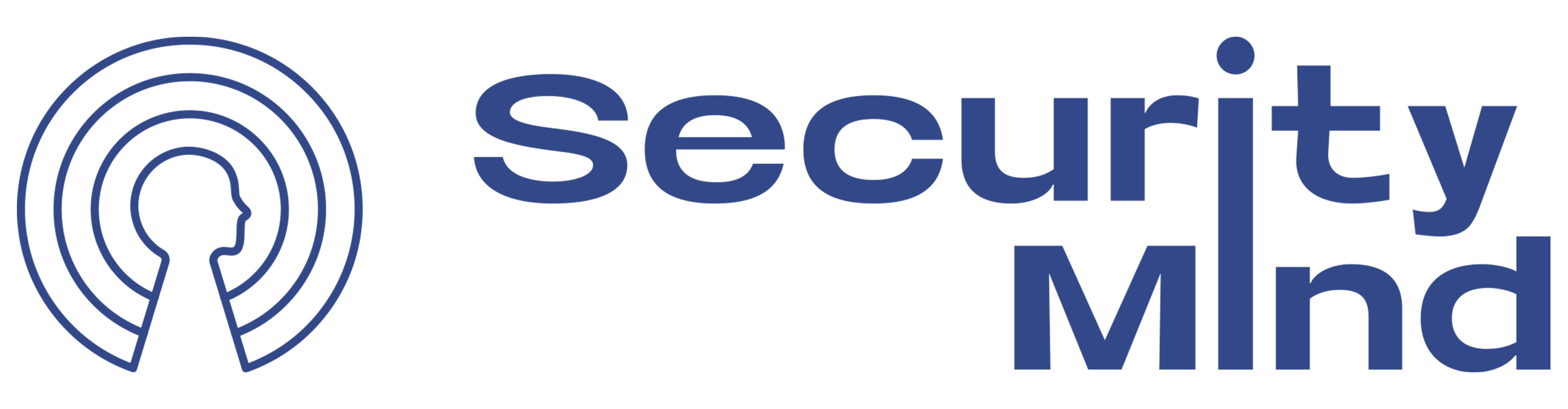 SECURITY MIND